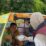 Hangatkan Jumat Pagi, Kantah Deli Serdang Hadirkan Kepedulian di Tengah Masyarakat