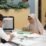 Tepat di Momen HANTARU 2026, Implementasi PERINTIS 10 Hari Diperluas hingga ke 95 Kantah
